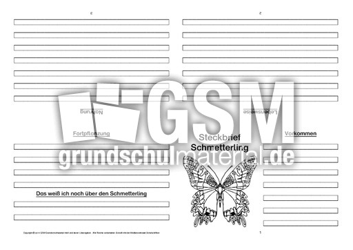 Schmetterling-Faltbuch-vierseitig-4.pdf